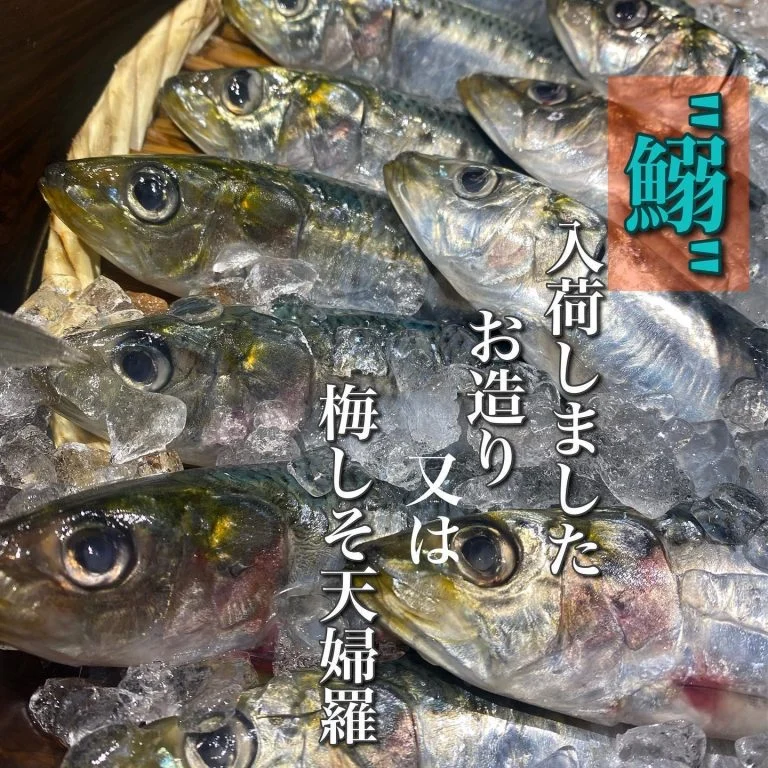 鰯のお造り、天婦羅@/品川/鮮魚/居酒屋
