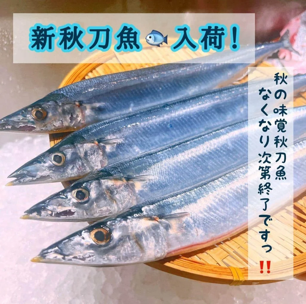 秋の味覚🍁秋刀魚🐟@/品川/鮮魚/居酒屋