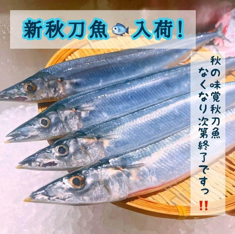 秋の味覚🍁秋刀魚🐟@/品川/鮮魚/居酒屋