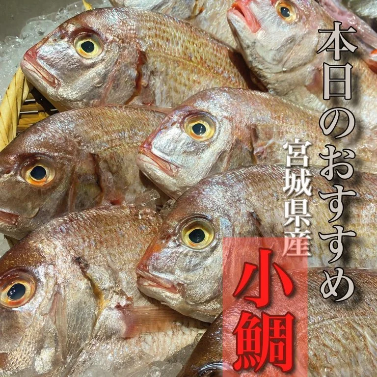 宮城県産小鯛@/品川/鮮魚/居酒屋