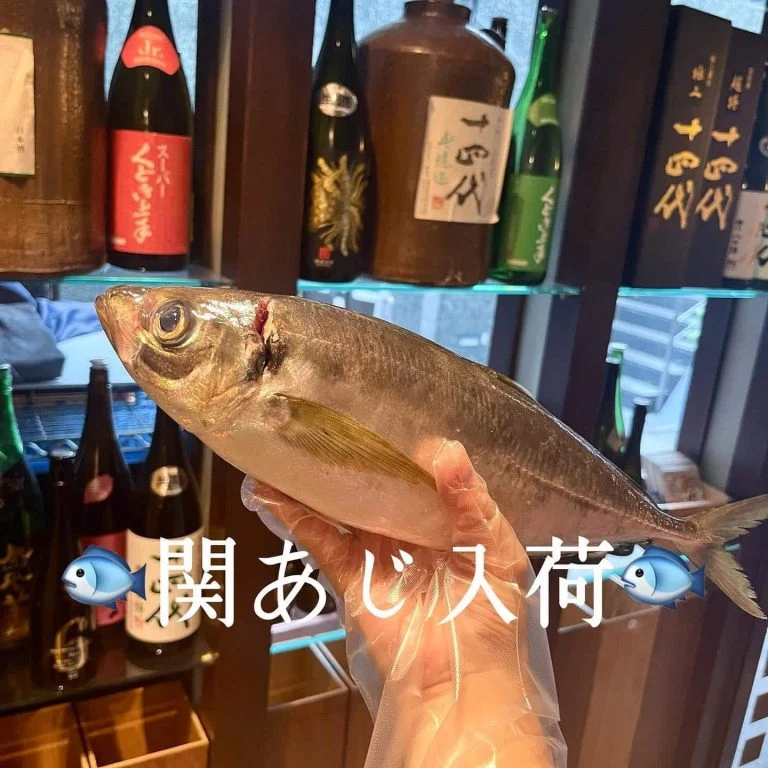 関あじ入荷！！！@/品川/鮮魚/居酒屋