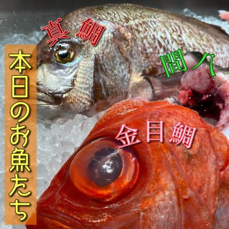 本日のお魚ラインナップ！目玉は金目鯛@/品川/鮮魚/居酒屋