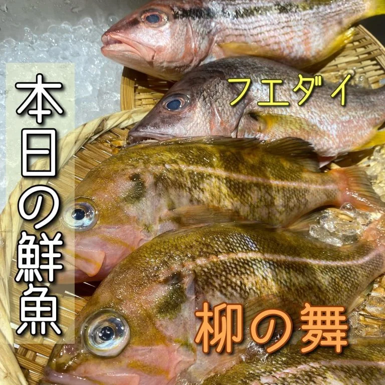 本日の鮮魚@/品川/鮮魚/居酒屋