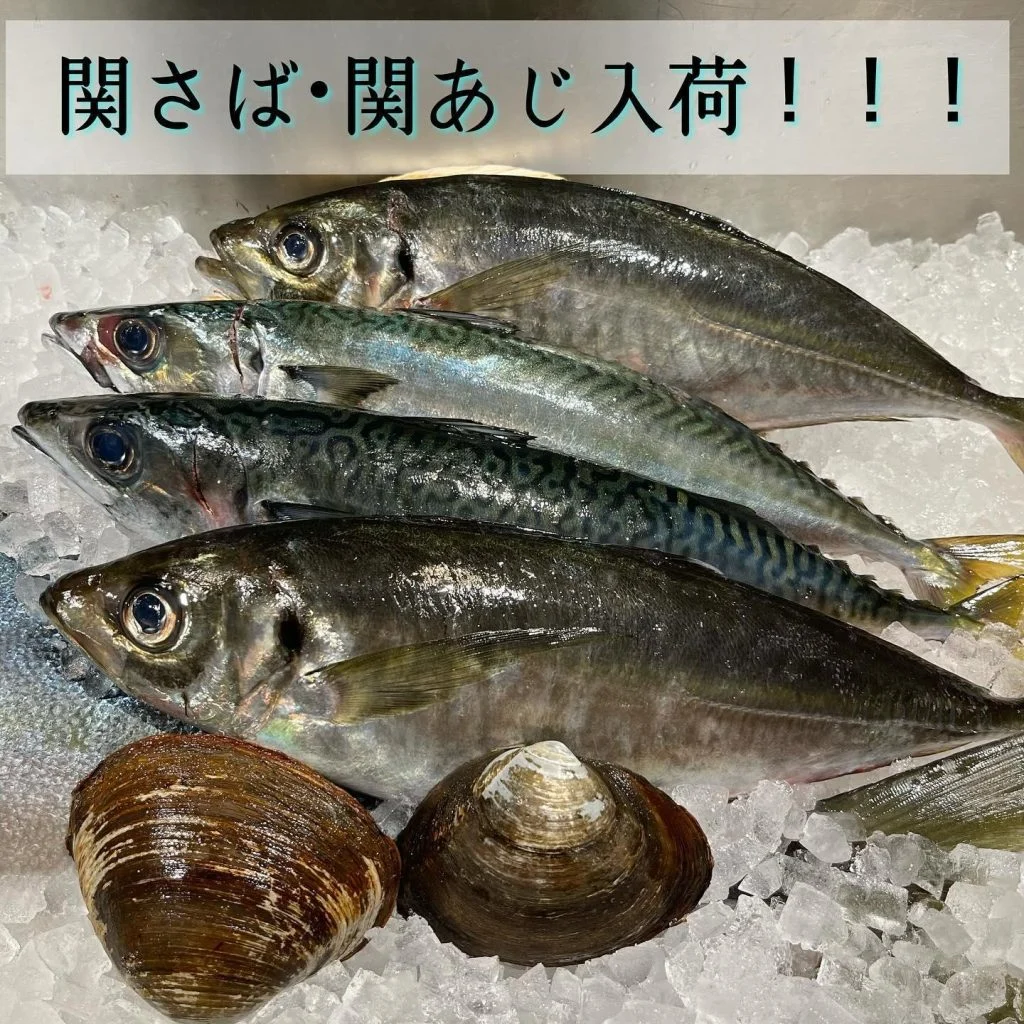 今年初入荷🐟✨@/品川/鮮魚/居酒屋