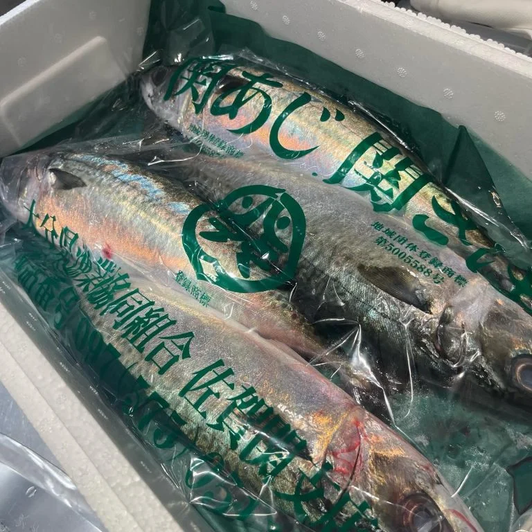 関さば入荷‼️🐟@/品川/鮮魚/居酒屋