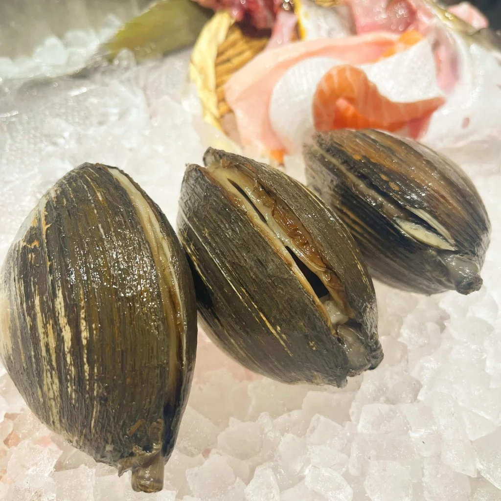 ホッキ貝入荷‼️@/品川/鮮魚/居酒屋