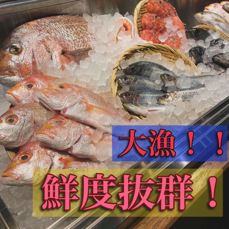 大漁!魚を食べよう!!@/品川/鮮魚/居酒屋