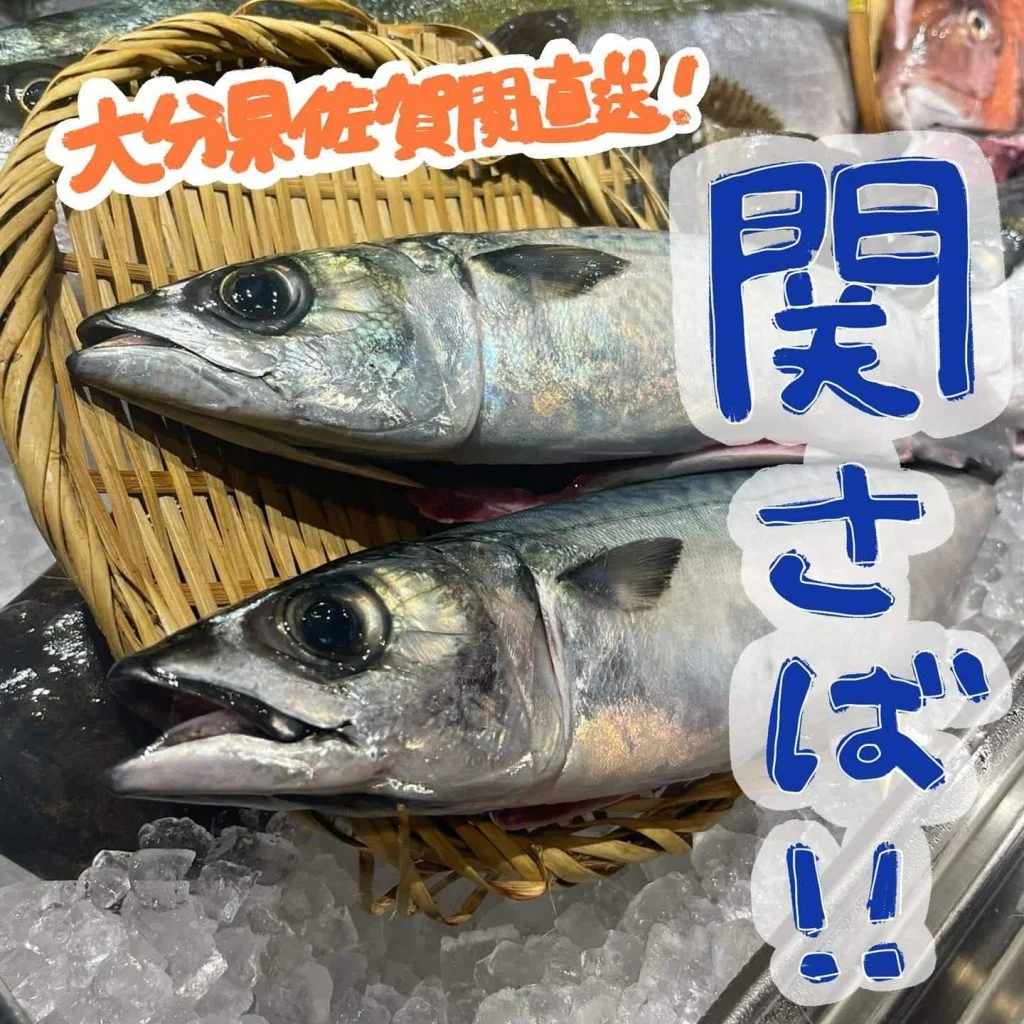 せ‼️き‼️さ‼️ば‼️入荷🐟✨@/品川/鮮魚/居酒屋