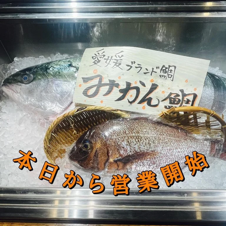 新年あけましておめでとうございます!@/品川/鮮魚/居酒屋