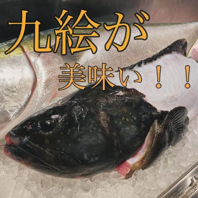 今、九絵が美味い!!@/品川/鮮魚/居酒屋/おでん/鍋