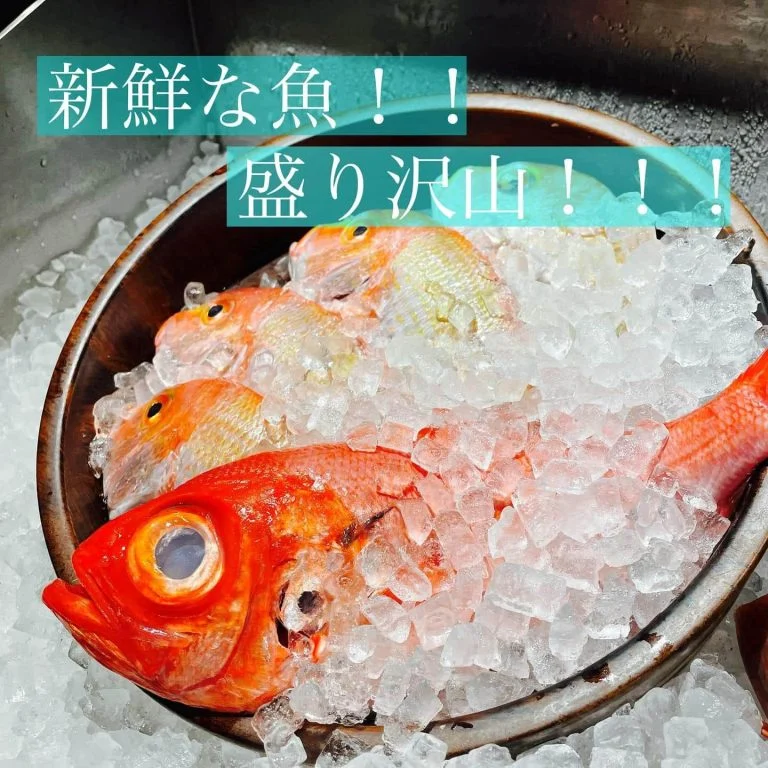 日曜日も新鮮な魚盛り沢山！！@/品川/鮮魚/居酒屋