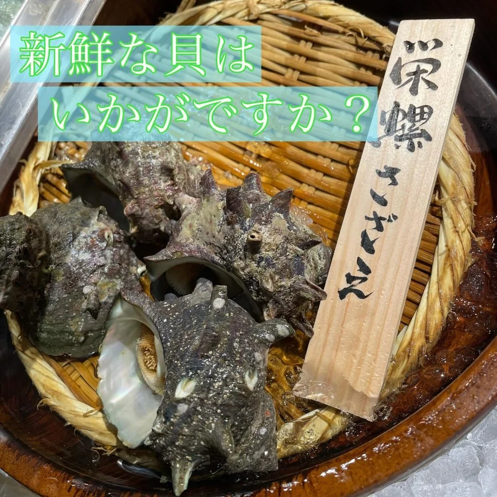 鮮度抜群！栄螺が美味い！！@/品川/鮮魚/居酒屋