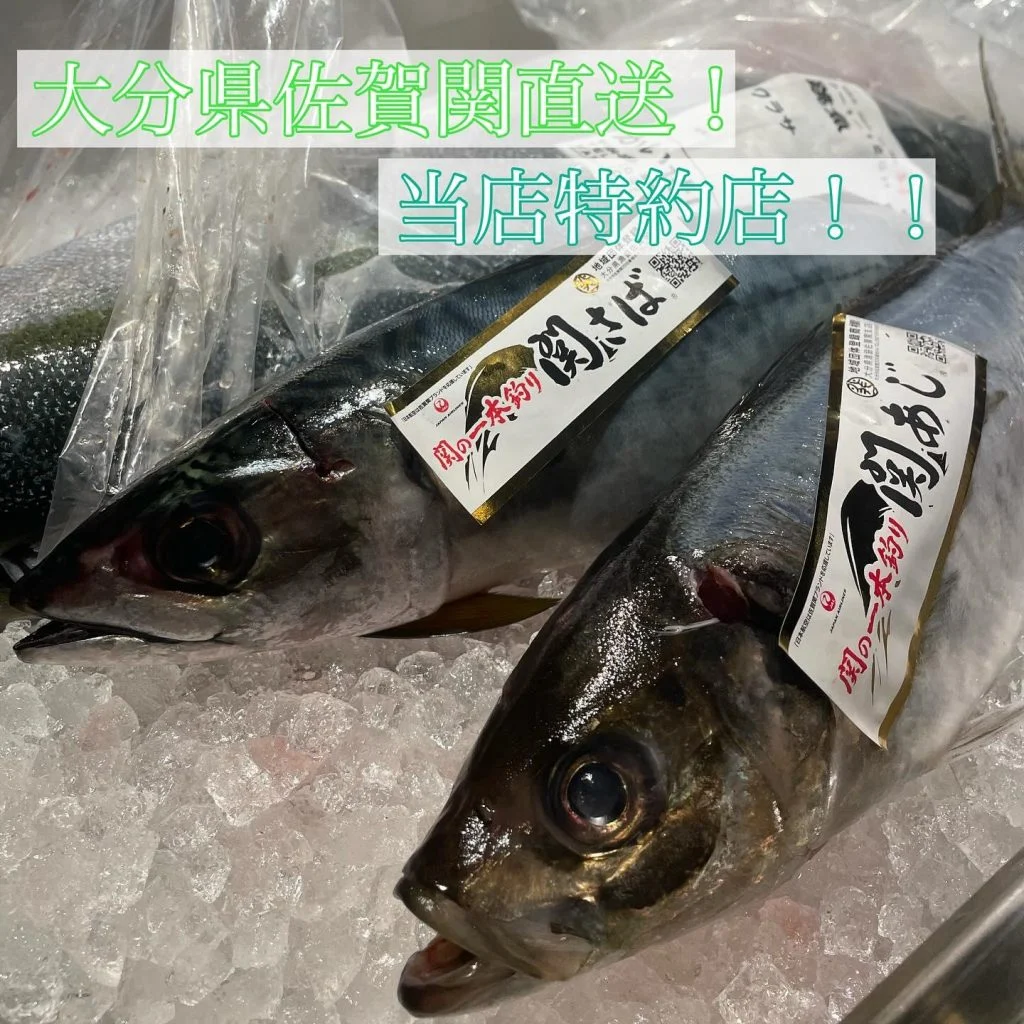 当店特約店！関さば・関あじ！！@/品川/鮮魚/居酒屋