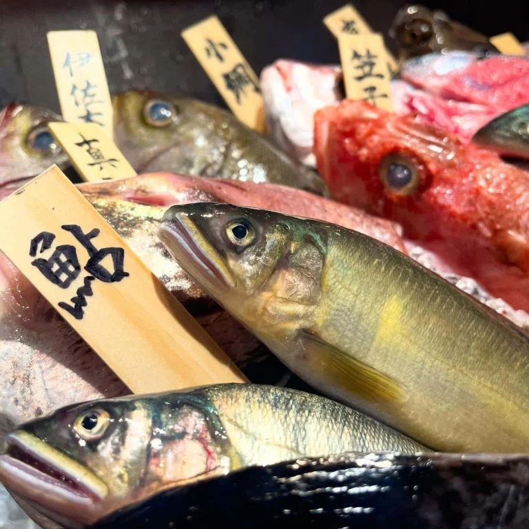 初夏!鮎一本の炭火炙り@/品川/鮮魚/居酒屋