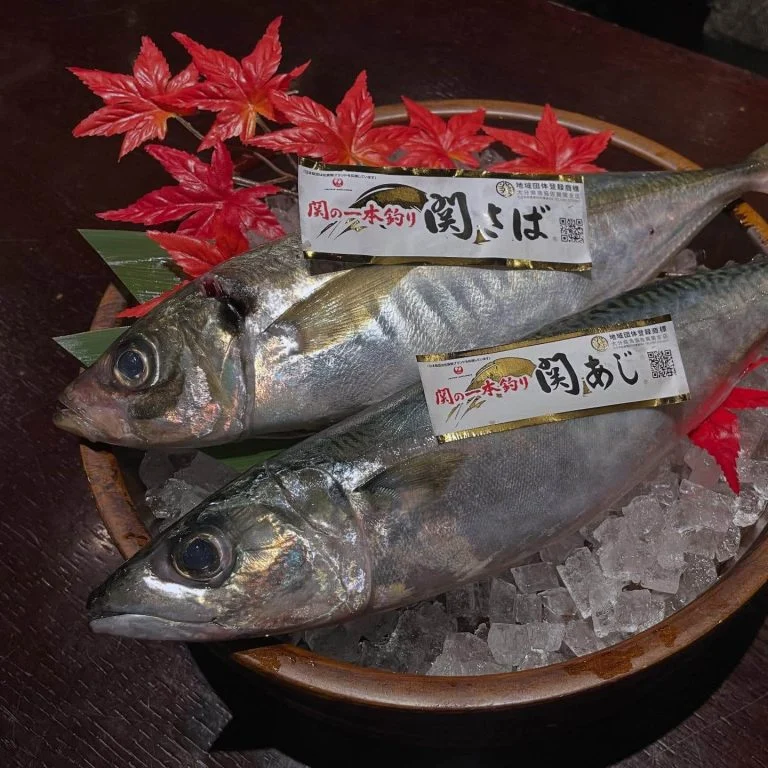 関サバ・関あじ本日入荷!@/品川/鮮魚/居酒屋