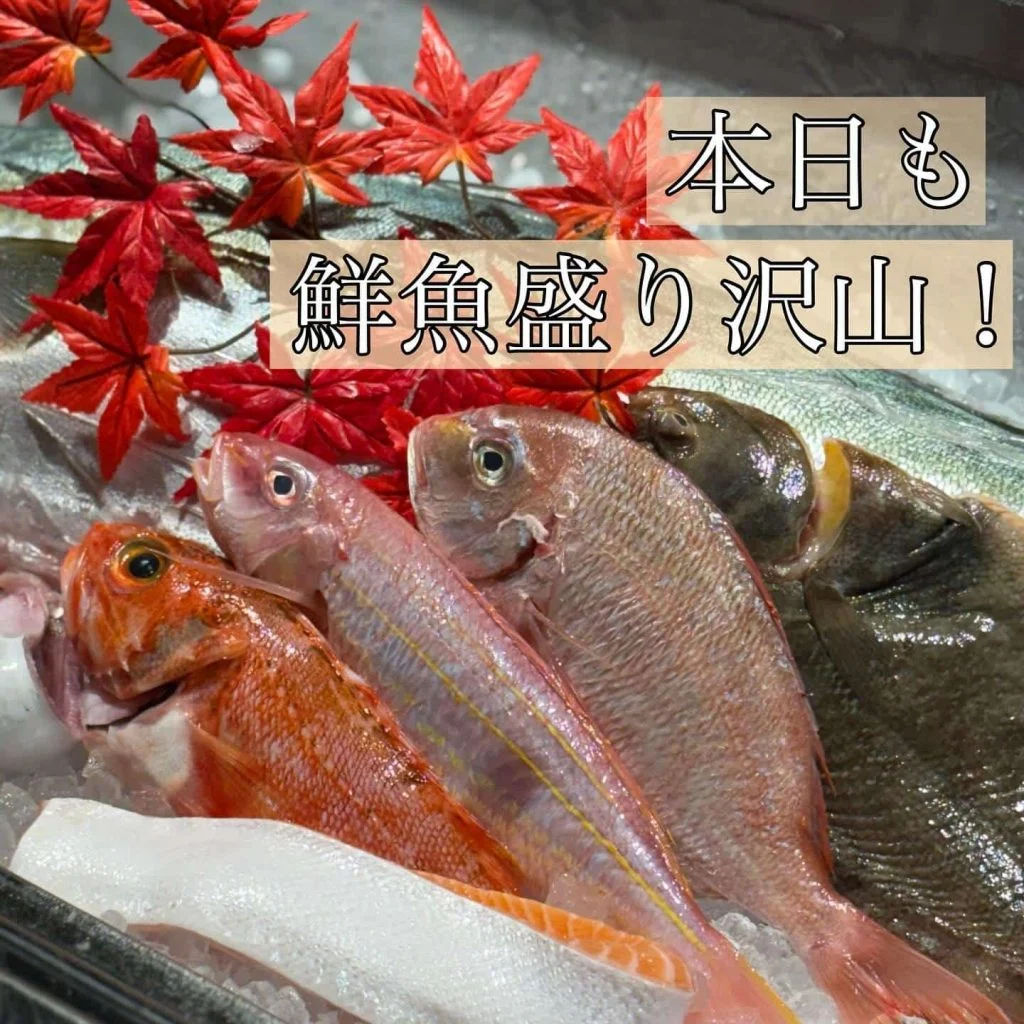 日曜日も元気に営業中！！@/品川/鮮魚/居酒屋