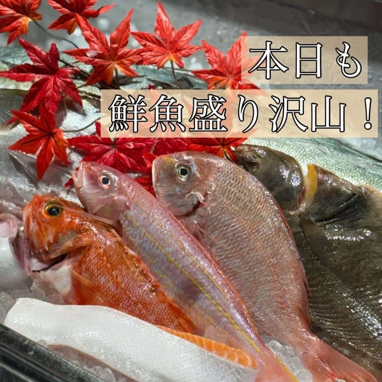 日曜日も元気に営業中!!@/品川/鮮魚/居酒屋
