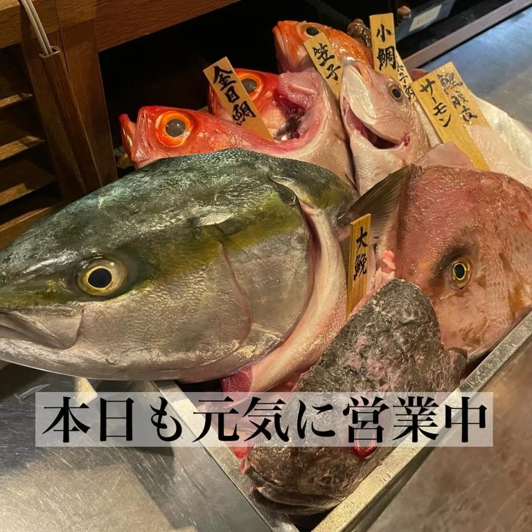 本日も元気に営業中!品川/居酒屋/鮮魚/海鮮/鍋