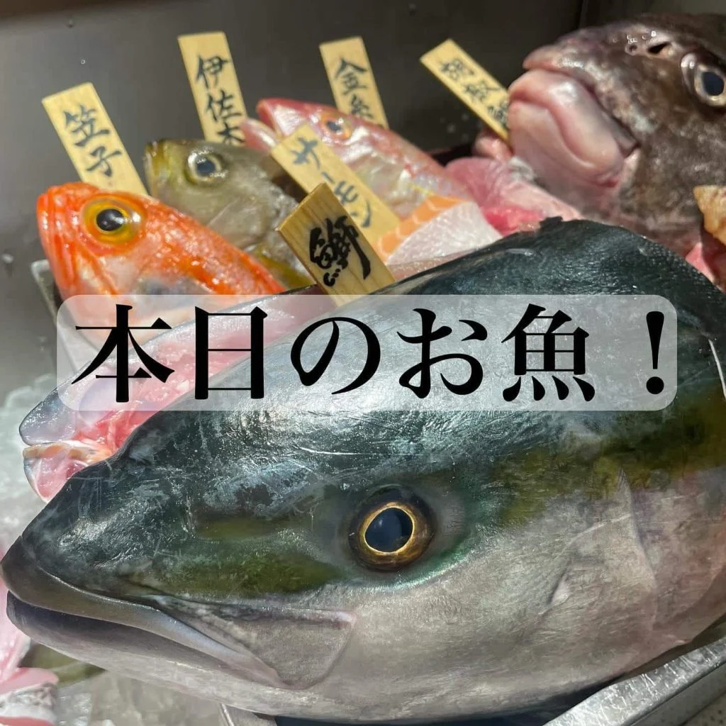 本日仕入れたお魚達!品川/海鮮/居酒屋/鍋/日本酒
