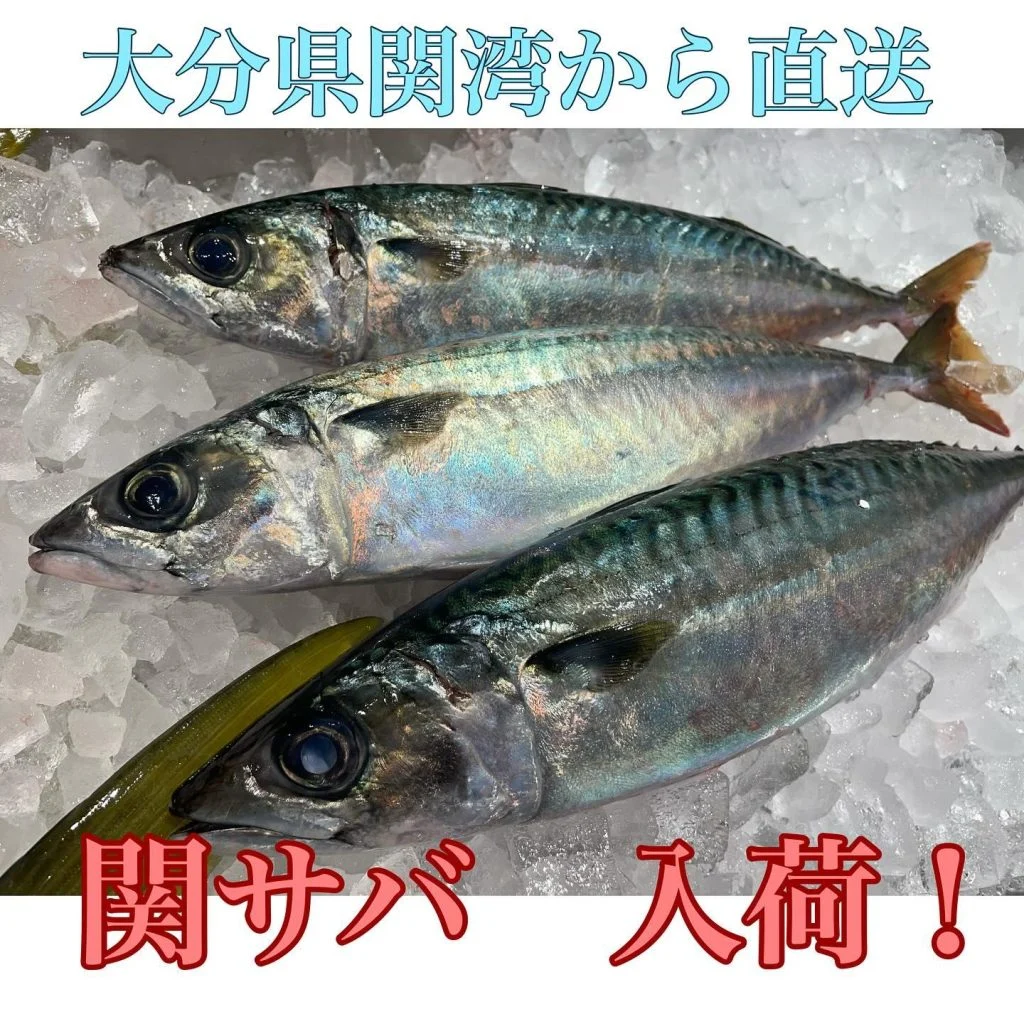 特約店でしか食べれない！品川/居酒屋/鮮魚/忘年会