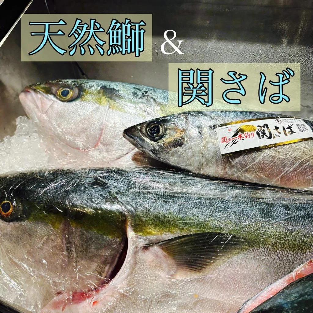 今が美味い！天然鰤＆関さば！品川/居酒屋/鮮魚/忘年会