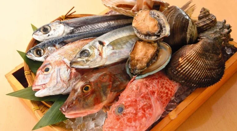 日替わりおすすめ焼き魚、煮魚！品川/海鮮/居酒屋/鍋/日本酒