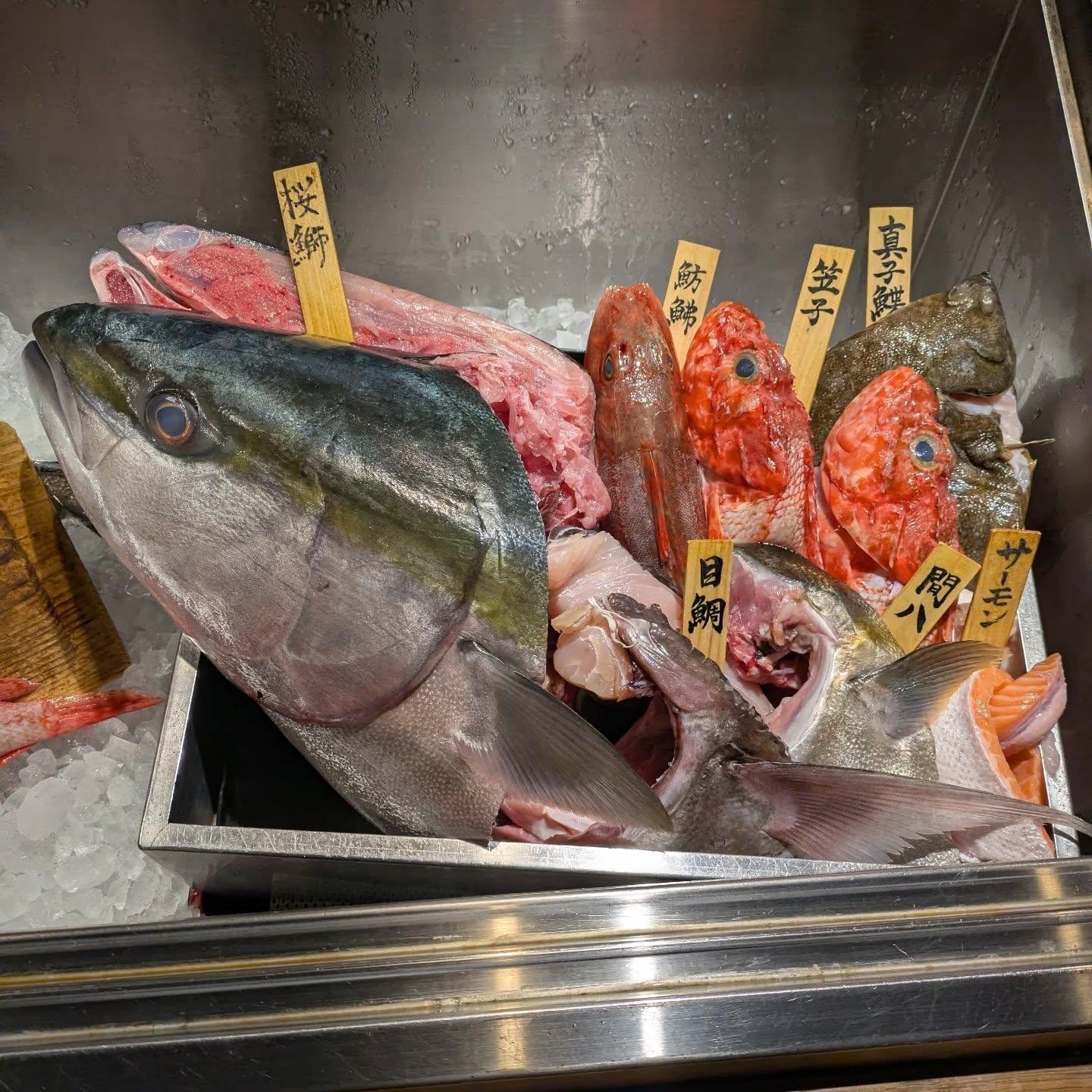 本日の一本魚！品川/居酒屋/関サバ/鮮魚