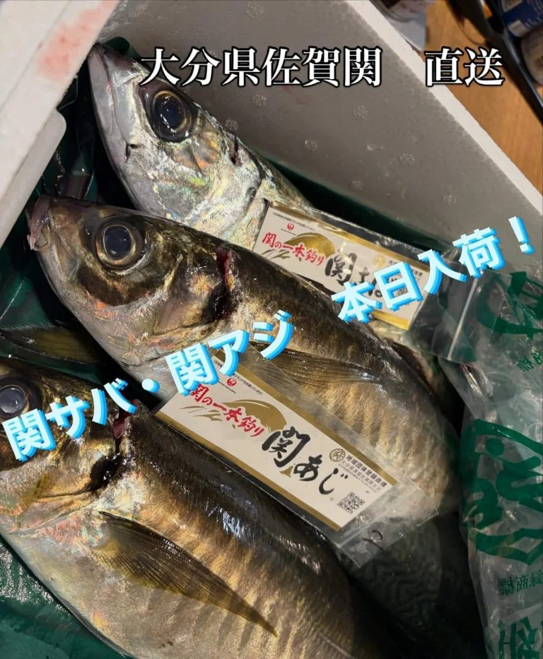 関サバ・関アジ‼️品川/居酒屋/関サバ/鮮魚