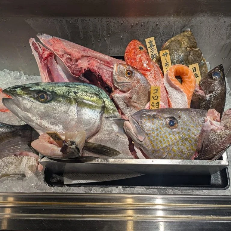 本日の一本魚！品川/居酒屋/関サバ/鮮魚