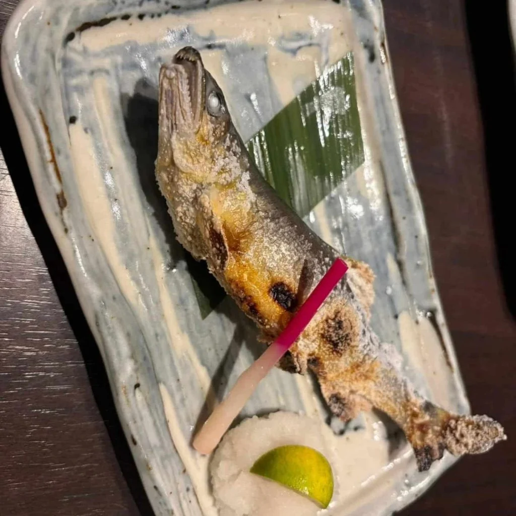 初夏メニュー、一部紹介　品川/居酒屋/関サバ/鮮魚