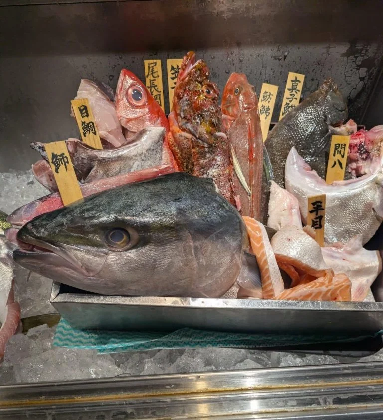 一本魚紹介！　品川/居酒屋/関サバ/鮮魚