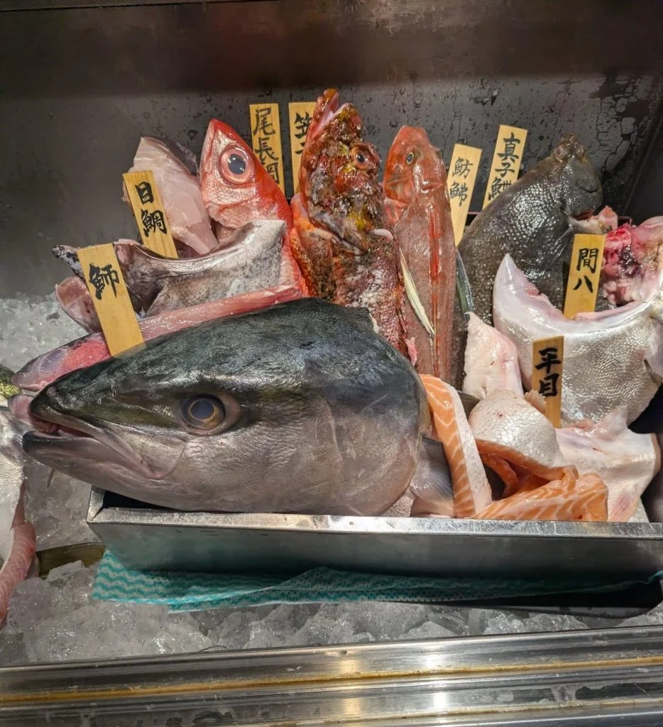 一本魚紹介! 品川/居酒屋/関サバ/鮮魚