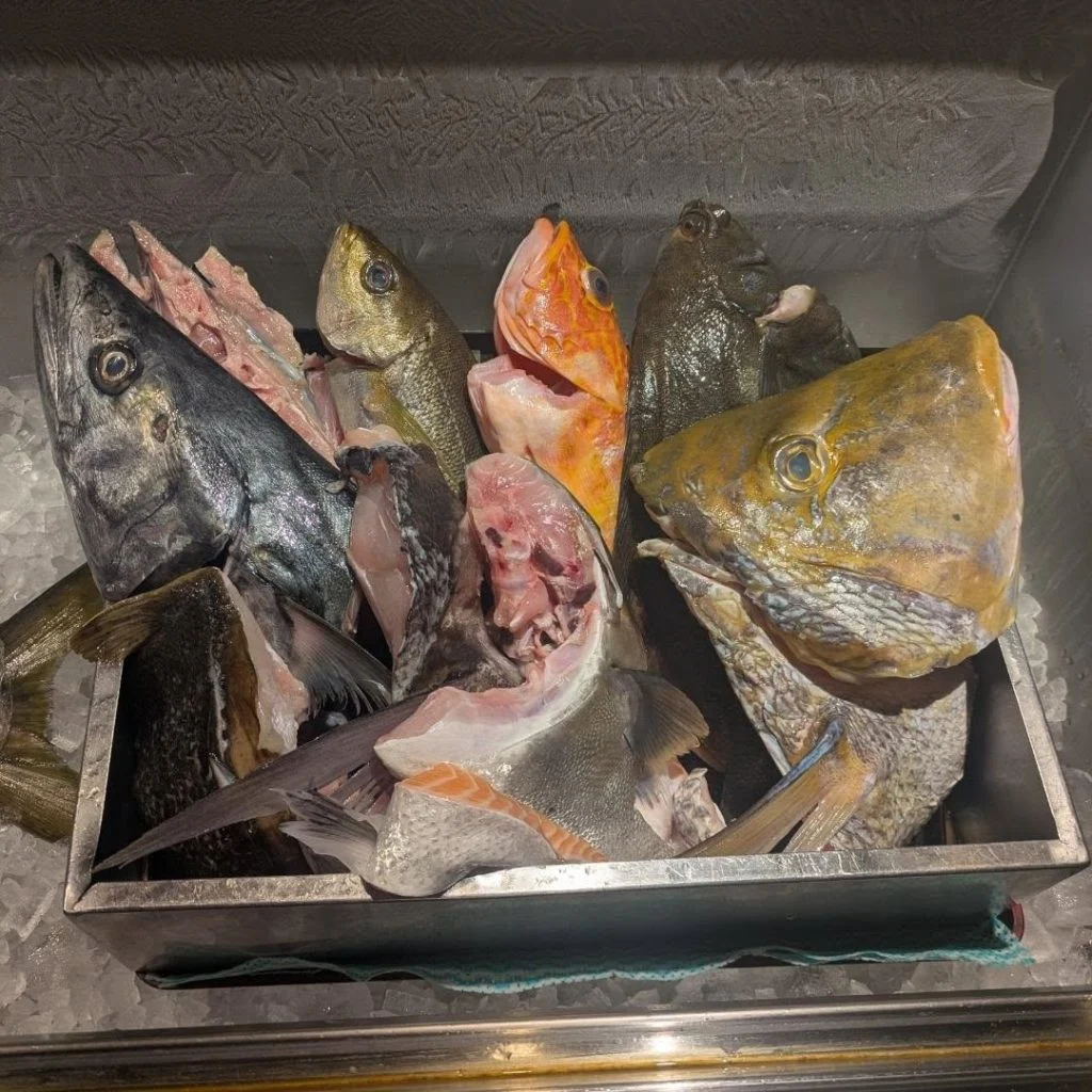 一本魚紹介！　品川/居酒屋/関サバ/鮮魚