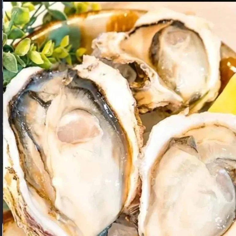 跳魚です！