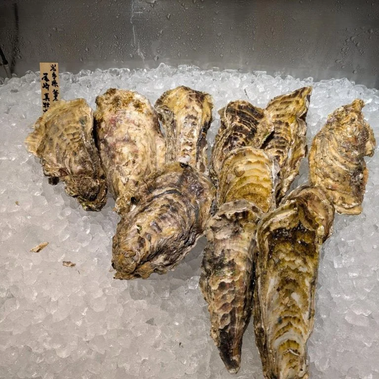 跳魚です！
