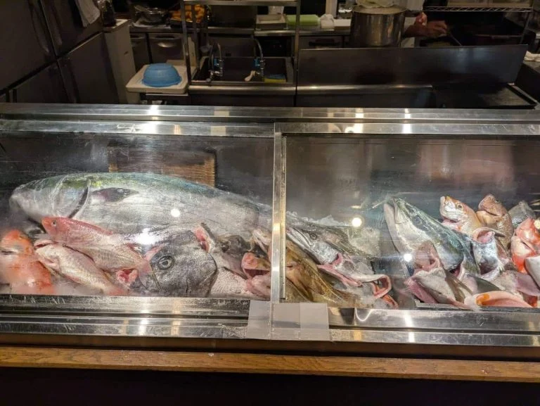 一本魚紹介！　品川/居酒屋/関サバ/鮮魚