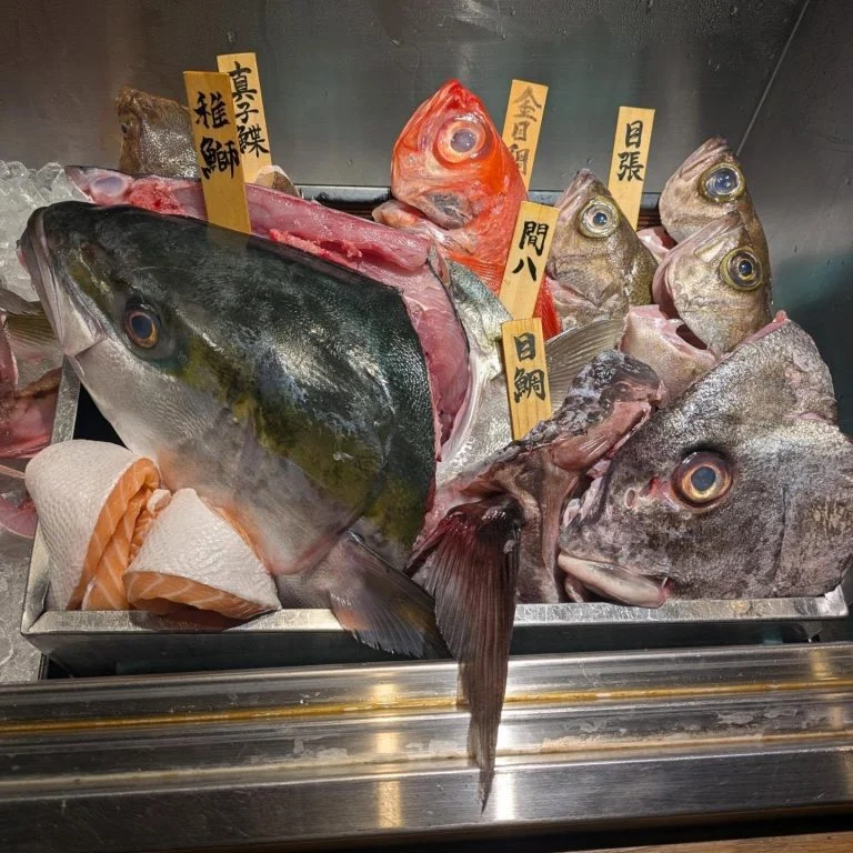 一本魚紹介！　品川/居酒屋/関サバ/鮮魚
