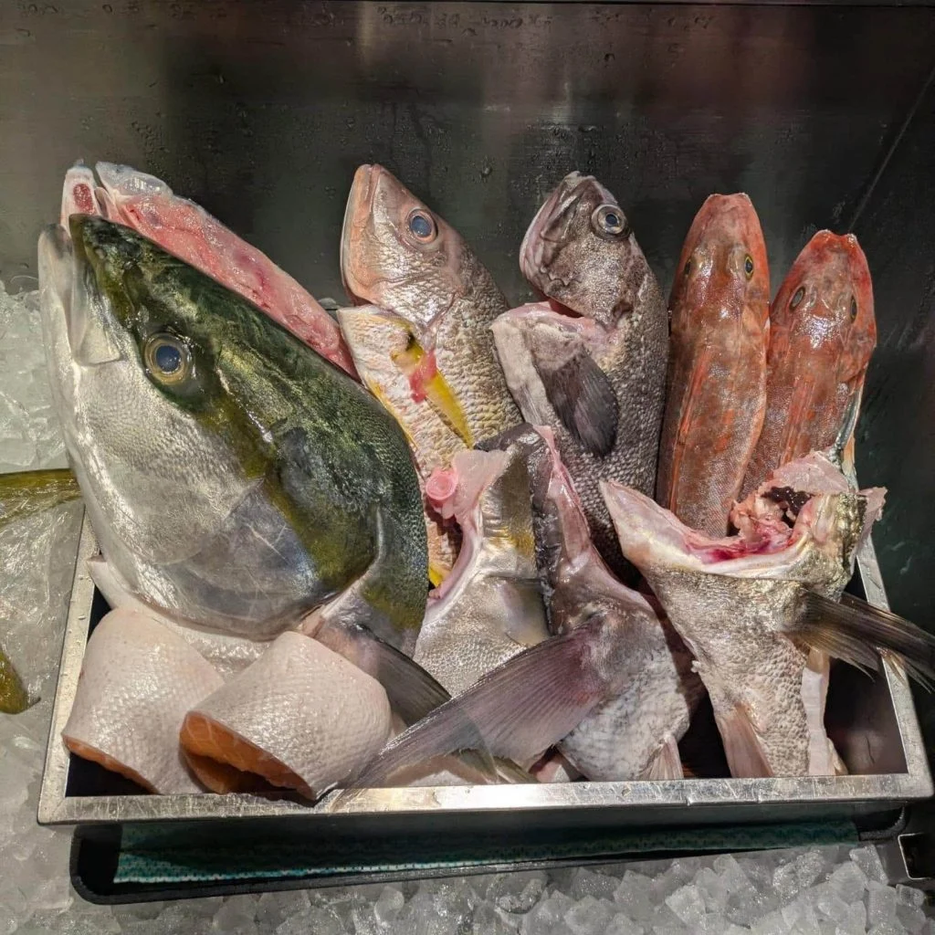 一本魚紹介！　品川/居酒屋/関サバ/鮮魚