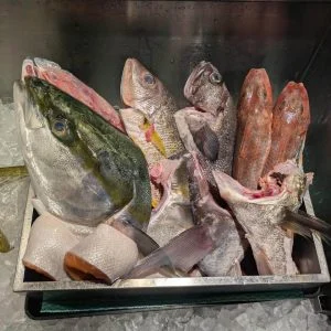 一本魚紹介！　品川/居酒屋/関サバ/鮮魚